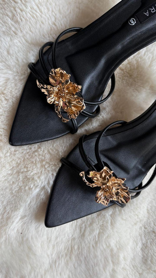 AURELIA (HONORA) BLACK