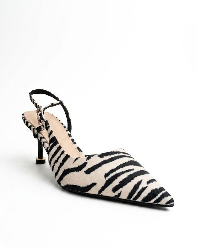 VANESSA ZEBRA